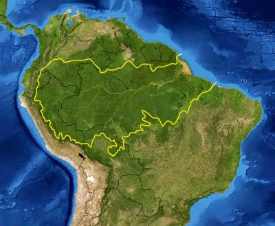 Nasa conclui que Amazônia absorve mais gás carbônico do que emite