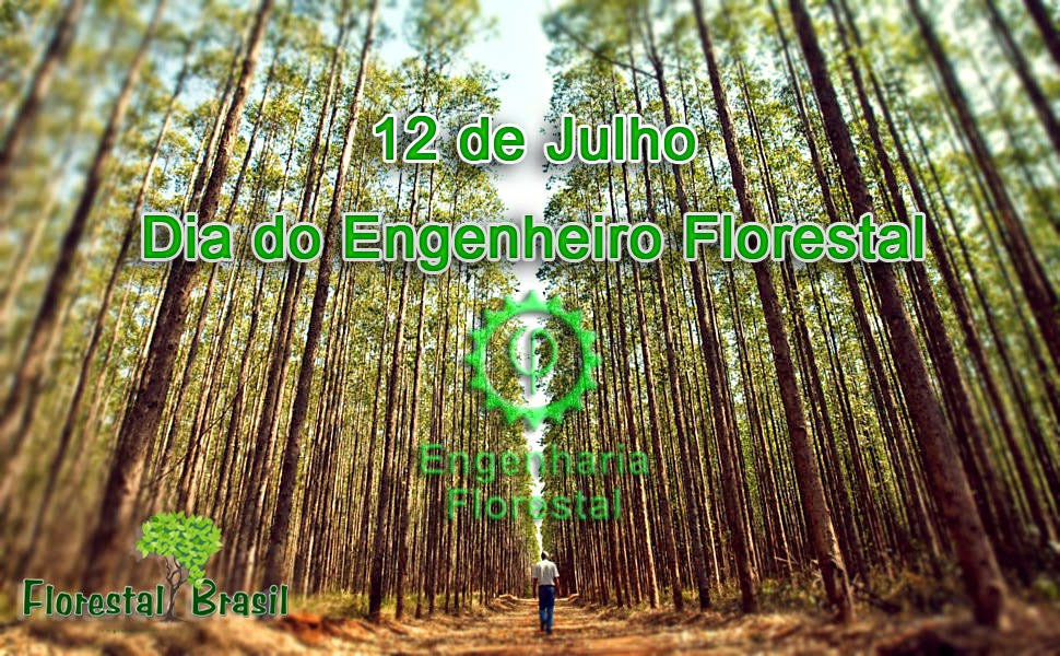Por que se comemora o dia do Engenheiro Florestal em 12 de julho?