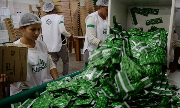 Na Amazônia, 'fábrica do amor' produz preservativos sustentáveis