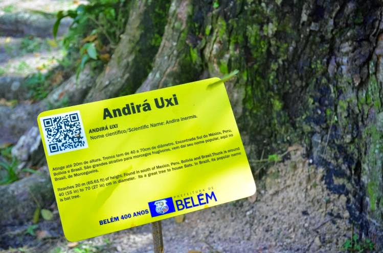 Árvores de Belém(PA) ganham identificação em QR Code