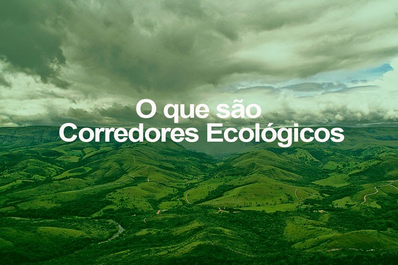 Entenda o que são Corredores Ecológicos