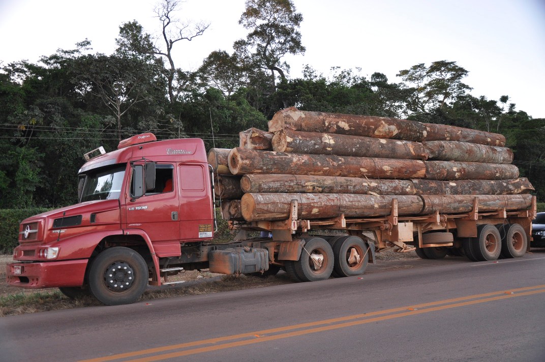 Consumidor terá acesso a informações sobre a origem da madeira de concessões florestais