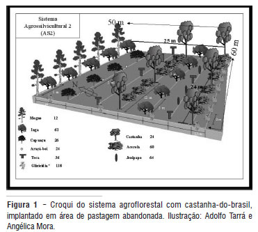 Saf's com o uso do sistema de corte e trituração como alternativa sustentável de produção.
