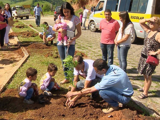 Cidades brasileiras que plantam uma árvore para cada bebê que nasce