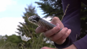[DOWNLOAD] Aplicativo para descobrir nome de plantas através de uma foto