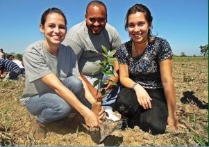 Rio de Janeiro faz faz mutirão de reflorestamento em Área de Proteção Ambiental