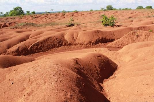 Estudo mapeia regiões mais suscetíveis à desertificação no Brasil