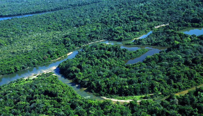 Alemanha destina R$ 200 milhões para conservação da Amazônia