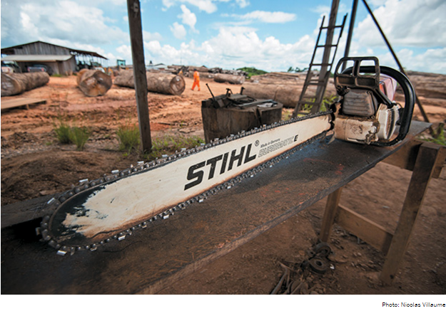 Por que proteger a Amazônia e deixar a floresta intacta faz mais sentido para a economia?