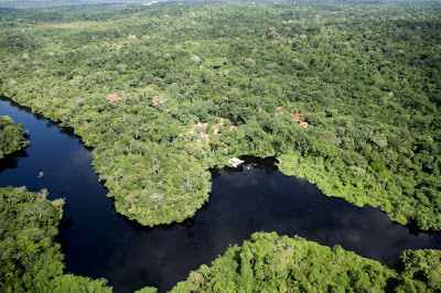 Amazônia ganha novo sistema de vigilância