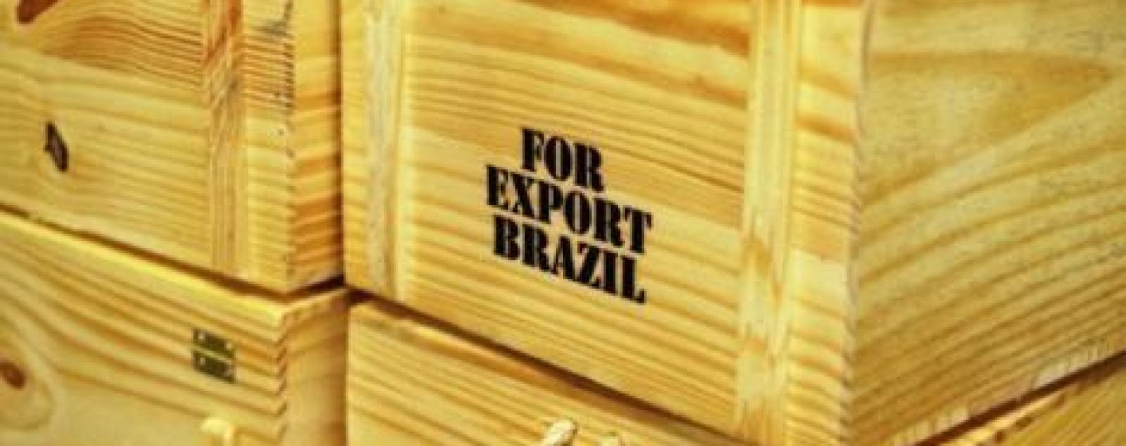 Exportações do setor de árvores plantadas apresentaram bom desempenho no 1º trimestre de 2016