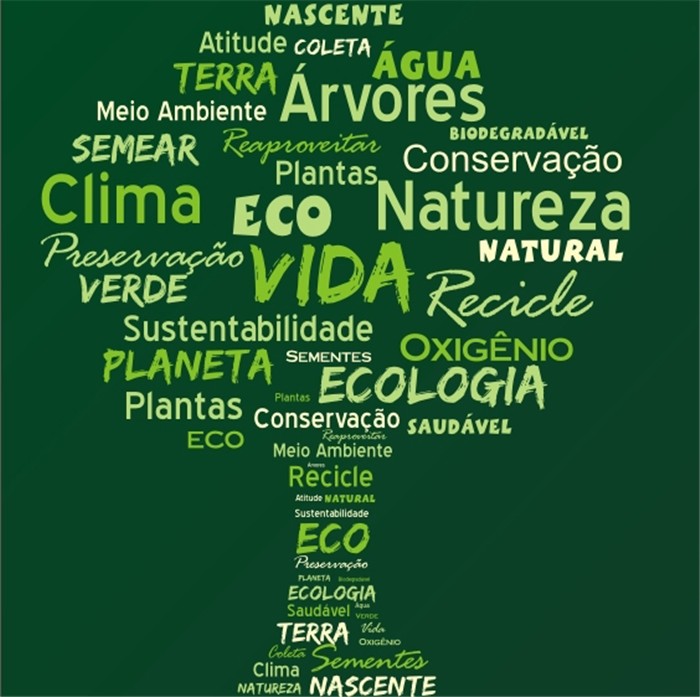 CURIOSIDADE: Por que o Dia Mundial do Meio Ambiente é comemorado em 05 de junho?