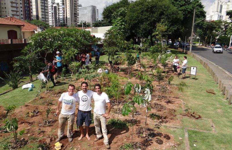 Paulistanos se unem para criar miniflorestas públicas na cidade