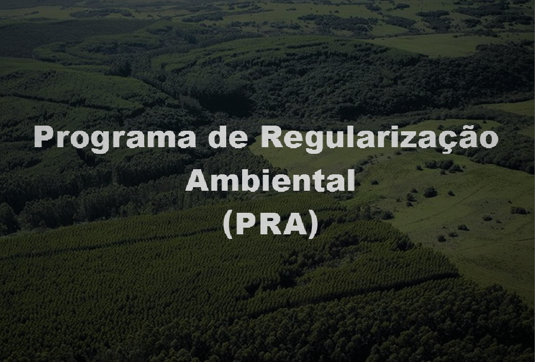 Após o CAR: Programa de Regularização Ambiental e Cotas de Reserva Ambiental