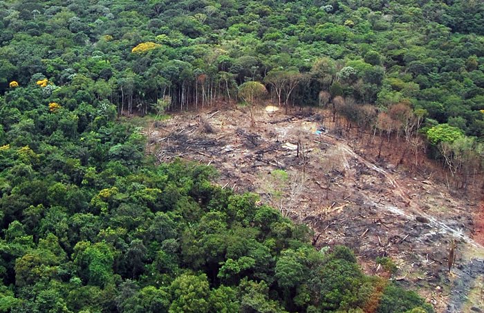 Ibama embarga 2.155 hectares de áreas degradadas ao longo da BR-319