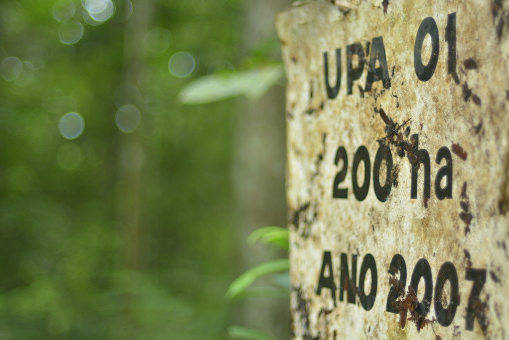Conheça a Exploração madeireira sustentável em Resex no Estado do Pará