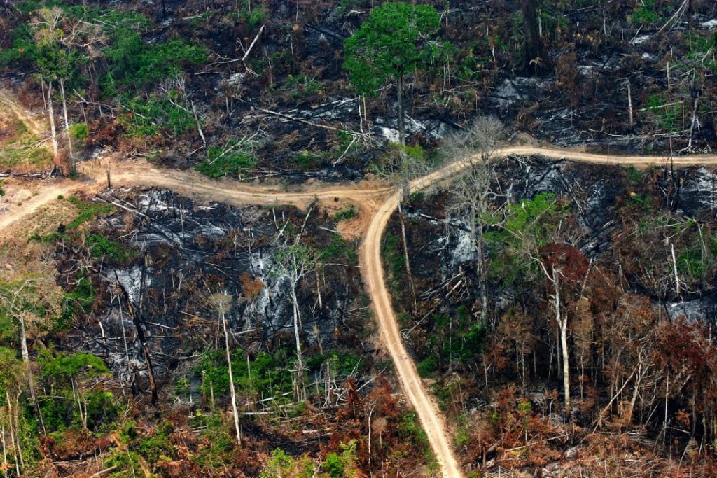 Medidas provisórias que reduzem áreas protegidas na Amazônia são aprovadas no Senado