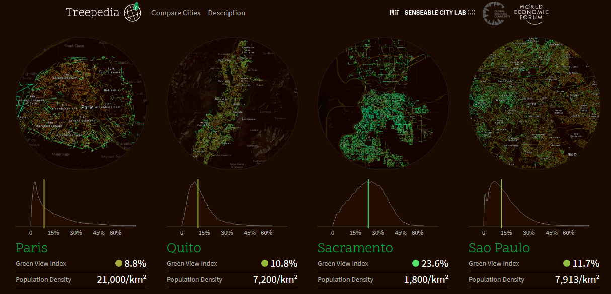 Treepedia: plataforma online mostra o percentual de arborização urbana em grandes cidades