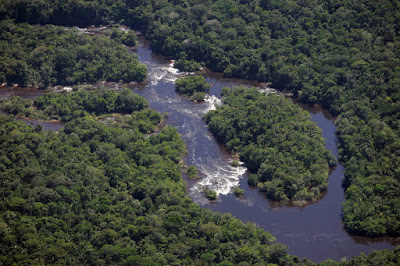 Usinas propõe inundar 1.085 km² da Amazônia