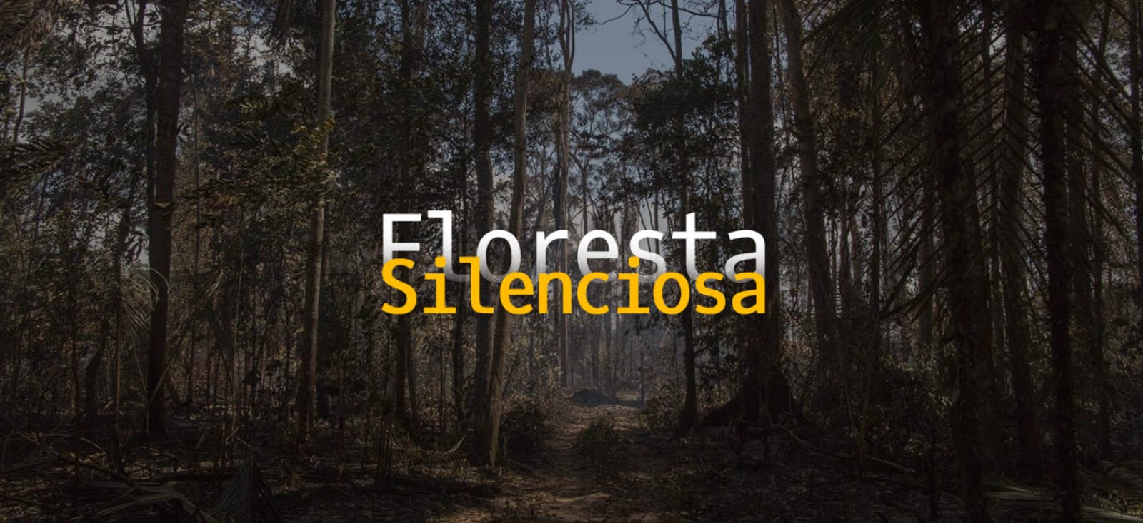 Floresta Silenciosa: plataforma alerta sobre a gravidade da degradação florestal na Amazônia