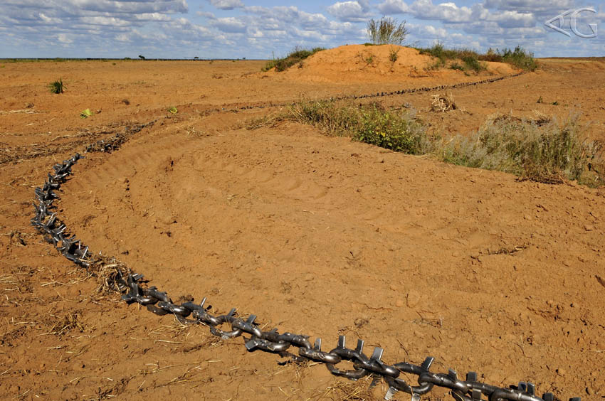 Em dois anos a área desmatada no Cerrado foi três vezes maior que o DF