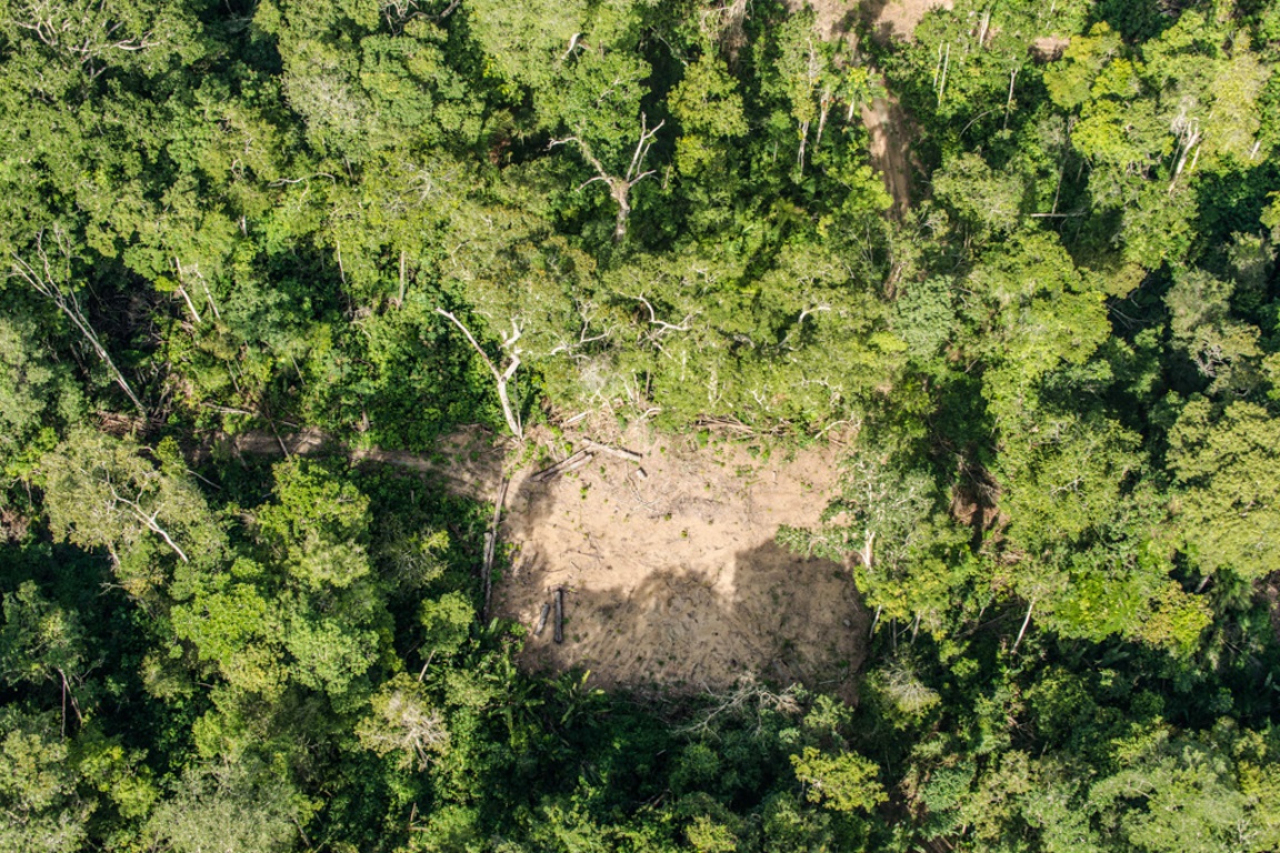 PF deflagra esquema bilionário de desmatamento no Pará