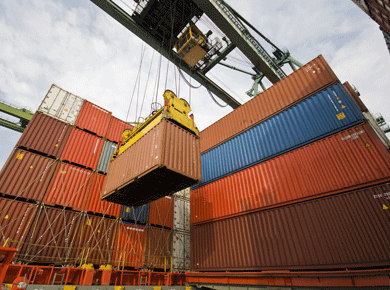 Exportações do setor florestal ultrapassam US$7,7 bilhões