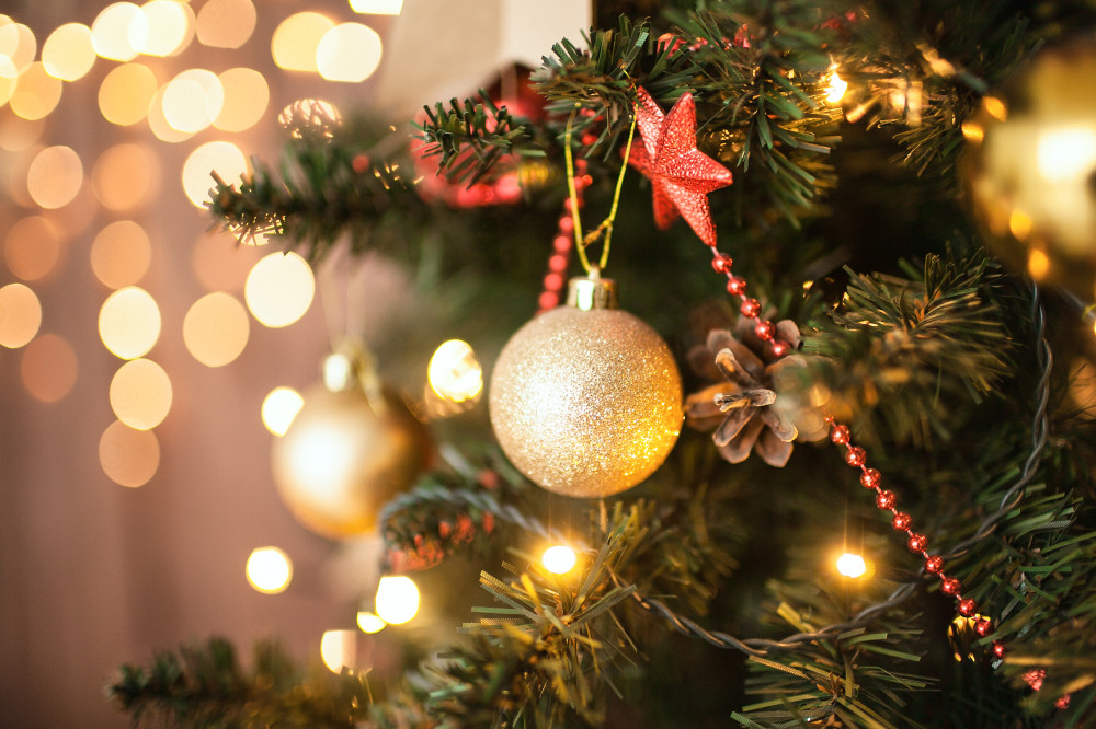 porque a árvore de natal é um pinheiro