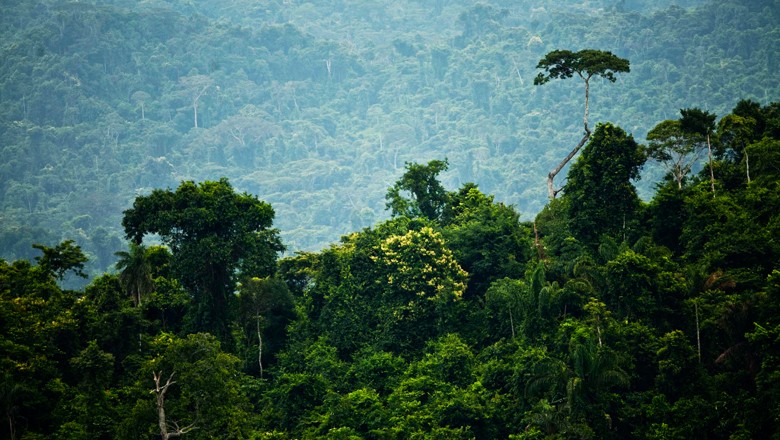 Cadastro Ambiental Rural fecha 2018 com 503,84 milhões de hectares
