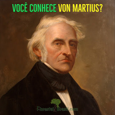 O homem que 'batizou' a nossa natureza