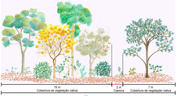 [DOWNLOAD] Artigo sobre Restauração Ecológica de Nativas