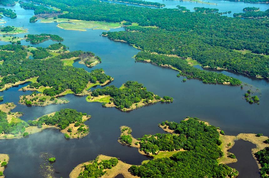 ABSURDO: Senador propõe diminuição em 50% da Reserva Legal na Amazônia