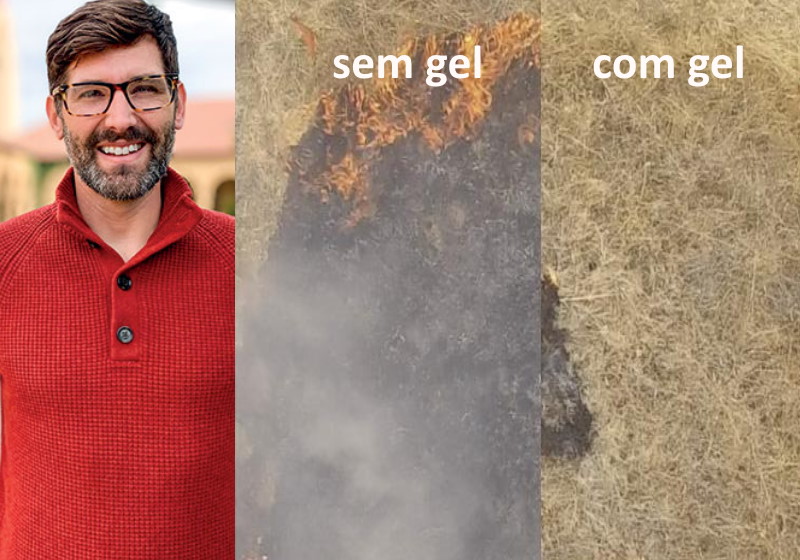 Engenheiro cria gel que adere à mata e previne incêndios florestais