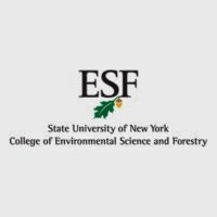 Como estudar Engenharia Florestal nos Estados Unidos