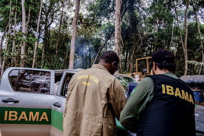 Chefes da fiscalização do Ibama são exonerados após operação; Servidores vêem retaliação