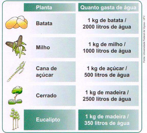consumo de água