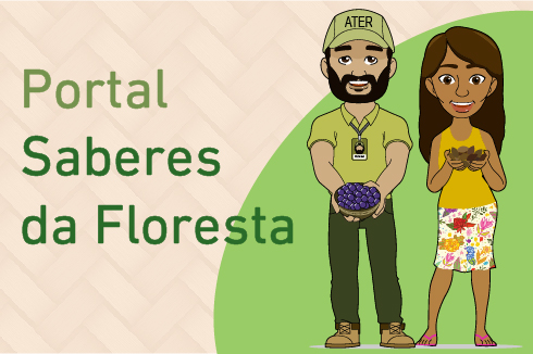 Abertas inscrições para 10 cursos gratuitos no Portal Saberes da Floresta