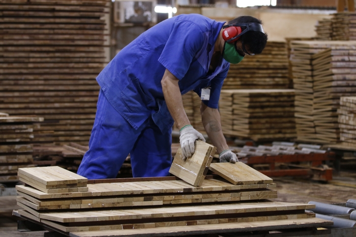 Exportação de madeira da Amazônia cai pela metade em dez anos