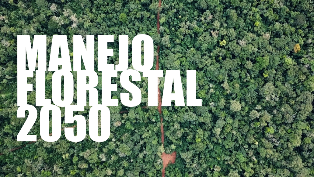 FloresCast #17 - Manejo Florestal 2050