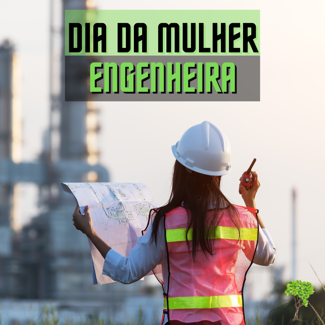 Dia da Mulher Engenheira