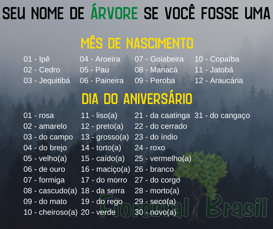 Seu nome de árvore se você fosse uma