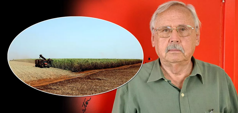 Apostar no agronegócio é um desastre econômico e ambiental para o Brasil