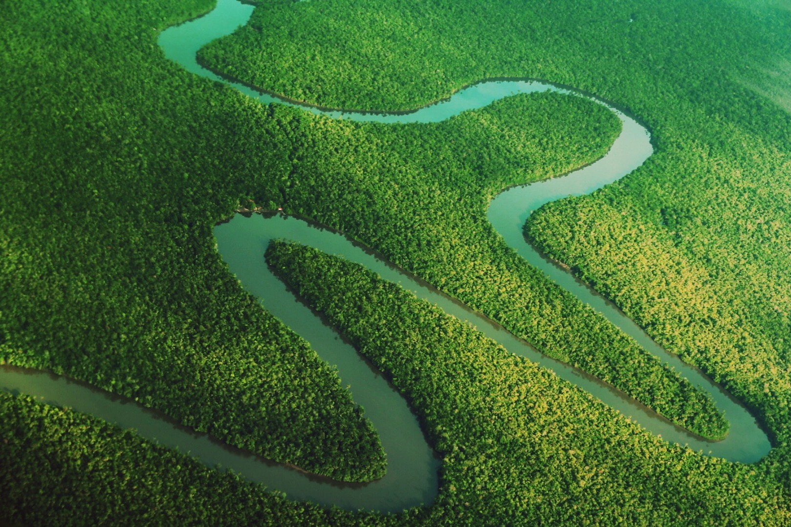 O papel das florestas protegidas no combate às mudanças climáticas