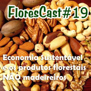 FloresCast19