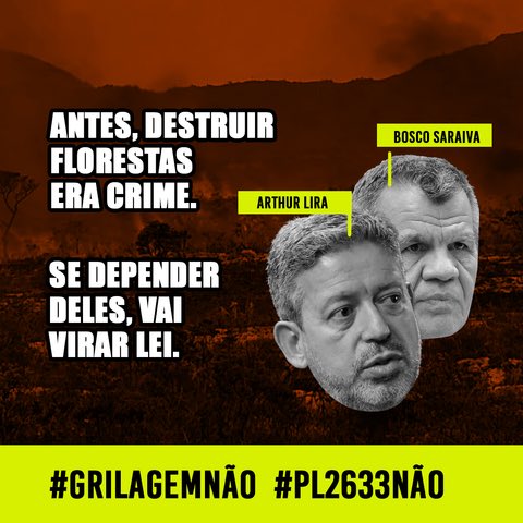 grilagem e desmatamento