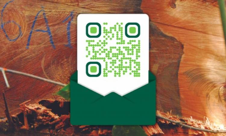 Importadores de madeira europeus escrevem carta aberta ao Brasil