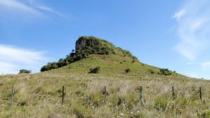 O Cerro do Itaquatiá, no município gaúcho de São Pedro do Sul, onde a espécie foi encontrada. Foto: Bianca Schindler