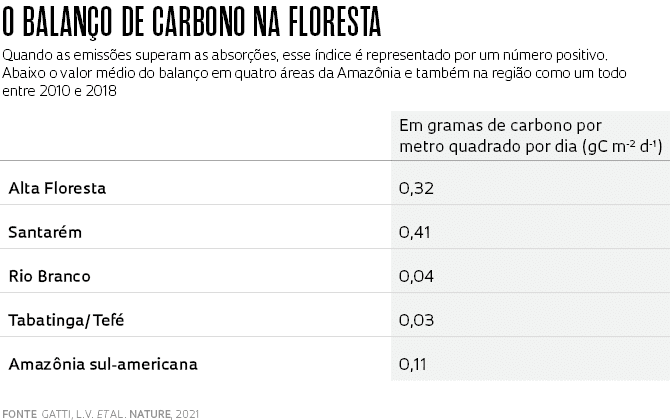 Amazônia vira fonte de carbono