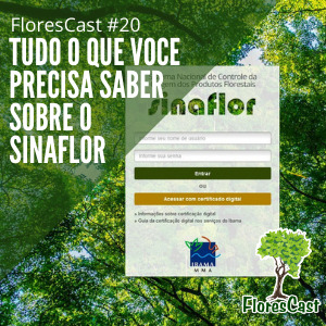 FloresCast #20 - Tudo o que você precisa saber sobre o SINAFLOR
