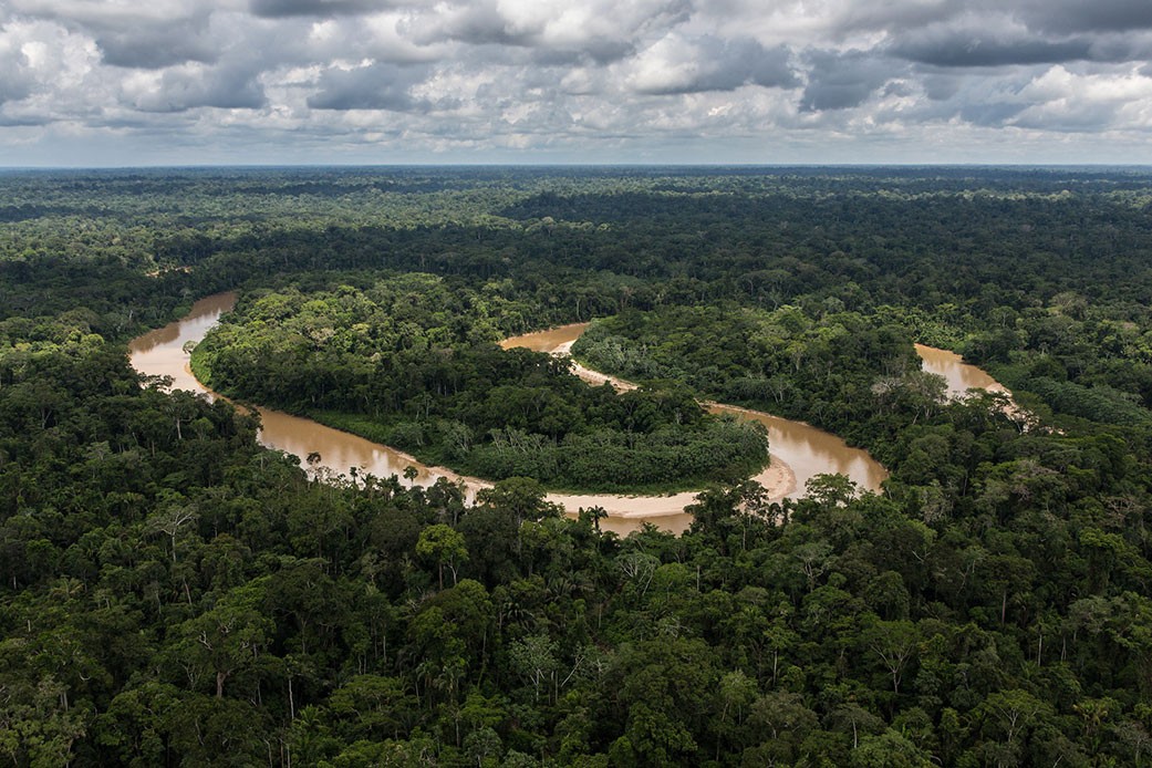 Segundo a NASA, Florestas tropicais absorveram menos carbono entre 2000 e 2019